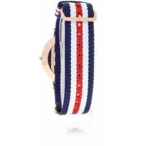 Canterbury 40mm watch caseback view showing gold case and tricolour strap with hardware